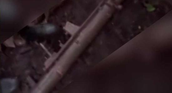 වාලච්චේනේ රොකට් ලොන්චර් විමර්ශන CIDයට